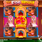 The Dog House slot review: rules and features