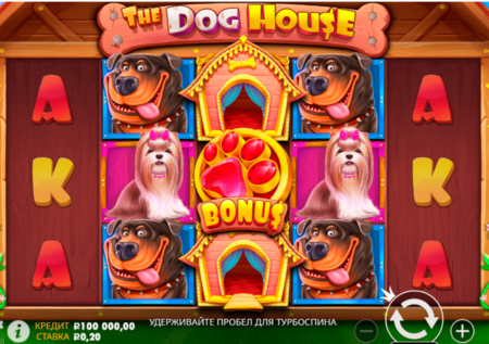 The Dog House slot review: rules and features